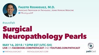 Surgical neuropathology pearls  Dr Rodriguez Hopkins NEUROPATH [upl. by Ydnak]