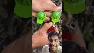 Buddhi Dekho diy satisfying fruit fishing handmade shorts camping comedy funny reaction [upl. by Drolet]