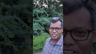 காலை வணக்கம் உறவுகளே shortvideo [upl. by Dorey716]