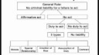 Mastering Criminal Law The Actus Reus Example [upl. by Inattyrb]