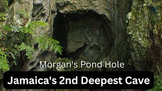 Cave Visit  Morgans Pond Hole  Jamaicas 2nd Deepest Known Cave  OB Fitness [upl. by Ybba]