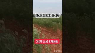 Acre 6 lakhs AP prakasam district Kanigiri near 250 Acres land sale [upl. by Bonns]