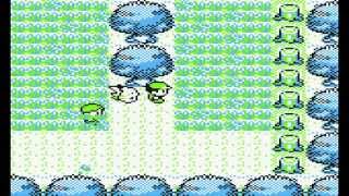 Level 100 Nidoking Glitch Pokemon Yellow [upl. by Elleneg888]