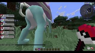 Pixelmon Pokemon editor [upl. by Acsot]