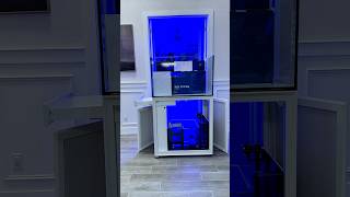 Introducing my latest reef tank build Ultum Nature Systems R90 Reef System ultumnaturesystems [upl. by Heid]