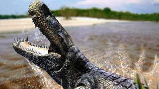 Purussaurus  The Biggest Crocodile That Ever Existed  Documentary EnglishHD [upl. by Hillel]