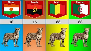 Cheetah Population by Country  Cheetah genuinedata [upl. by Desdamona]