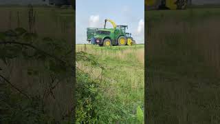 Starting on the headlands 😮‍💨 grassmen silage johndeere newholland trailer views [upl. by Aneez]