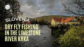 Krka River Dry Fly Fishing [upl. by Auberon643]