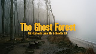 Shooting 35mm film in the most mysterious forest in Germany  Leica M7 amp Minolta CLE [upl. by Ahseia]