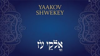 אלוקי עוז  שוואקי  SHWEKEY  Elokei Oz [upl. by Hebbe]