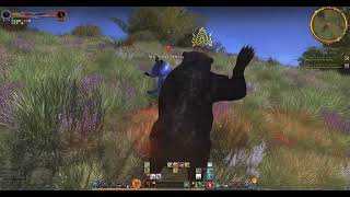 Lotro legendary server 64bit Beorning Pt 4 [upl. by Ordway]