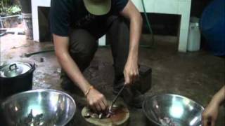 Trip Gourmand  Les grenouilles lao style ou Fred style  Laos  Bolovens [upl. by Ahsinyar]