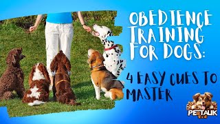 Obedience Training for Dogs 4 Easy Cues to Master pettalk dogtraining doglover dog [upl. by Lyrahs]