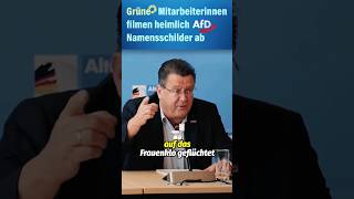 🚨grüne spionieren afd aus🕵🏻 short [upl. by Ecniuq]