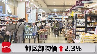 11月の東京都区部消費者物価指数 23％（2023年12月5日） [upl. by Rubia882]