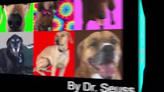 My Many Colored Days by Dr Seuss with Adorable Dogs [upl. by Tahpos]