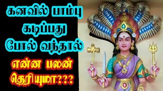 கனவில் பாம்பு கடிப்பது போல வந்தால் என்ன பலன் [upl. by Pazit246]