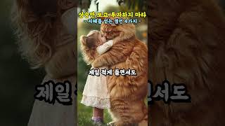 상승만 보고 투자하지 마라  지혜를 얻는 명언 4가지 [upl. by Ydnem258]