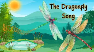 The Dragonfly Song  Animal Songs for Kids  Dragonfly Facts for Kids  Silly School Songs [upl. by Ami]