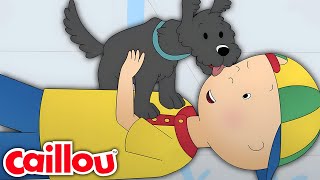 Caillou and Pepper  Caillous New Adventures  Season 3 Episode 26 [upl. by Bonine667]