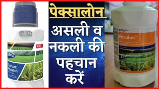 DuPont PEXalon Uses in Hindi Rice Brown Plant Hopper Insecticide to Control [upl. by Nirad760]