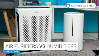 Air Purifiers Vs Humidifiers What’s Best for You [upl. by Sanborne528]