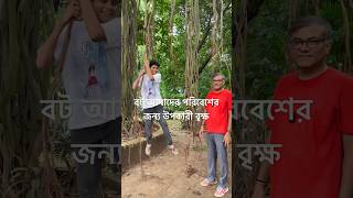 বট আমাদের পরিবেশের জন্য উপকারী বৃক্ষ। [upl. by Netnert]