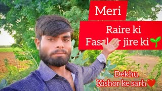 aaj me aap ko btaunga mera khet kaha raira or jire ki fasal ugai hui hy dosto dekhiy kishorvlog2024 [upl. by Piero757]