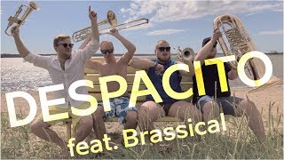 Brassical  Despacito Luis Fonsi Cover [upl. by Victoir]