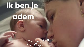 Iedereen vrij ademen [upl. by Casanova]