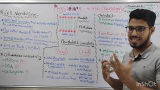 General physiology  تيم سبورة cell membrane physiology and intercellular communication [upl. by Gerlac393]