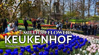 Keukenhof 🌷 7 Million Flowers 🌷 Full Tour of Keukenhof Gardens [upl. by Yliak820]