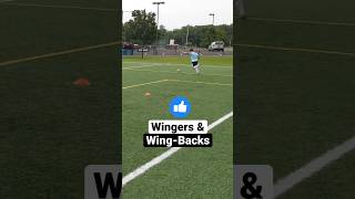 Dribbling Drills for 🪽Winger 🪽 football footballshorts footballedits [upl. by Bennir829]