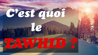 Cest quoi le Tawhid [upl. by Acinat]