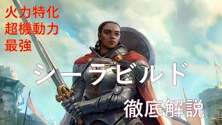 シーラ ビルド解説【パスファインダー：ラス・オブ・ザ・ライチャス 】 [upl. by Anoj]