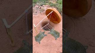 Survival SkillsSimple But Very Useful with turtle deep hole trap survival shorts outdoor [upl. by Nawak]