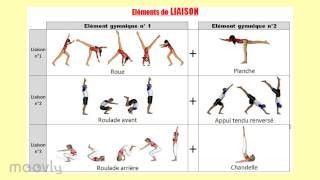 Capsule vidéo EPS Gym Les éléments de liaison [upl. by Arlena]