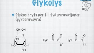 Glykolys gammal [upl. by Cinemod482]