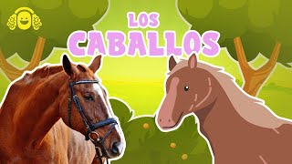 Curiosidades de CABALLOS🐴 Características Fascinantes de LOS CABALLOSVídeos caballos para niños [upl. by Nuahsed631]