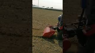 Mini tractor agrícola trabajando preparación de tierra maquinaria y equipo agricultura [upl. by Fredericka]