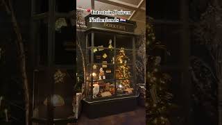 📍Intratuin Duiven Netherlands 🇳🇱 music merrychristmassong christmassingeramazingtricks funny [upl. by Ladew907]