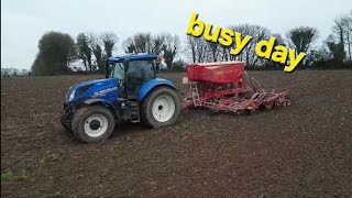 day 78 Harvesting Maize  Planting wheat [upl. by Ilene]