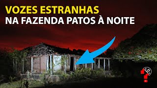 VOZES NA FAZENDA PATOS À NOITE  CNL  1582 [upl. by Auroora]