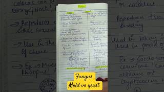 fungus mold vs yeast microbiology mycology handwritten differentiation easy to learn ytshorts [upl. by Noid]