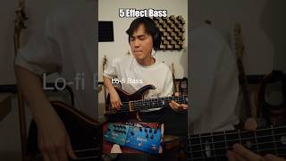 5 Effects Electric BASS [upl. by Carmena]