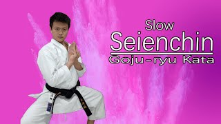 Gojuryu Kata Seienchin （Slow） [upl. by Bobina]