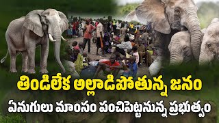 Namibia Culling Elephants and Hippos For Meat To Feed Hungry  Samayam Telugu [upl. by Rawdon]