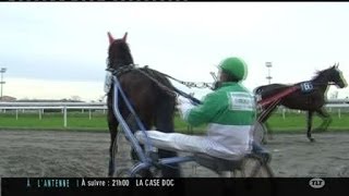 Hippodrome de Toulouse  3e au niveau national [upl. by Eityak711]