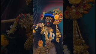 Dil deewana ho gayasawali mohan krishna krishnastatus krishnabhajan virndavan radhakrishna [upl. by Aniez]